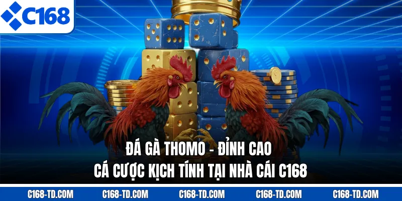 Đá Gà Thomo - Đỉnh Cao Cá Cược Kịch Tính Tại Nhà Cái C168